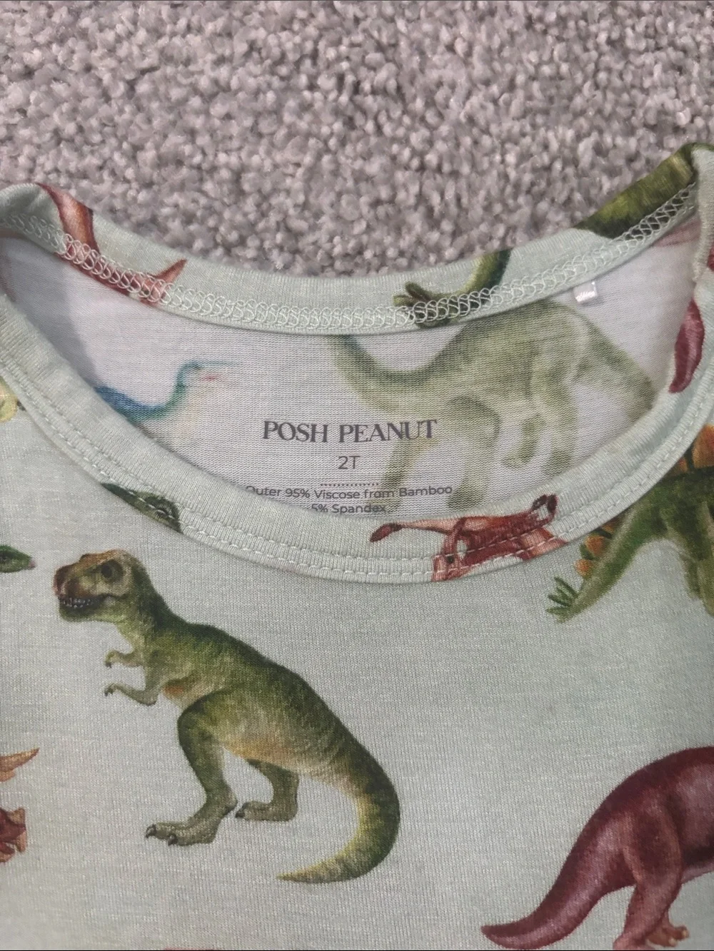 Posh Peanut Mint Green Dinosaur Ruffle Dress with Multicolor Dinosaurs